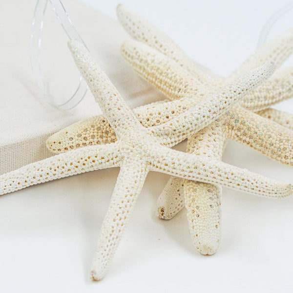 Glitter Starfish - Creamy White